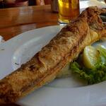 A Balaton valódi sztárja: a hekk