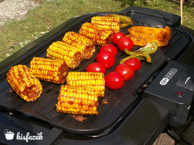 Nyár végi grillhangulat, elektromos feltöltődés