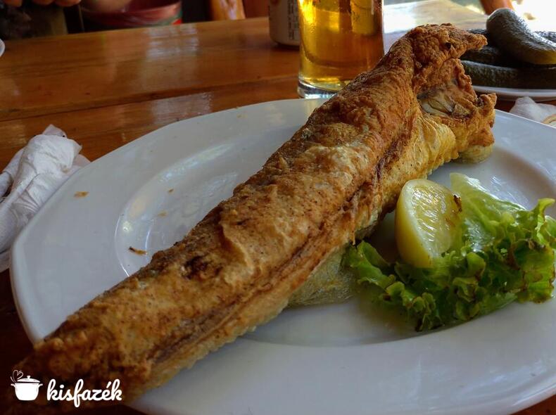 A Balaton valódi sztárja: a hekk