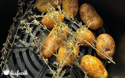 Válasz a konyhából a rohanó világra: az air fryer