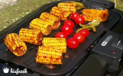 Nyár végi grillhangulat, elektromos feltöltődés