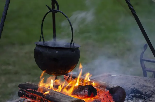 Vaddisznópörkölt recept