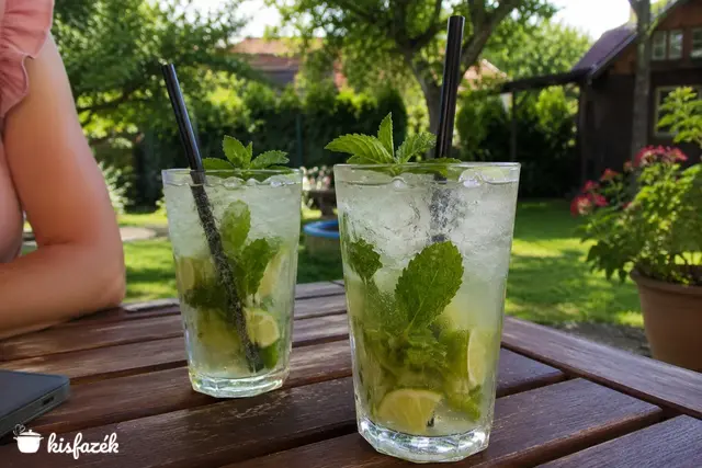 Eredeti mojito recept
